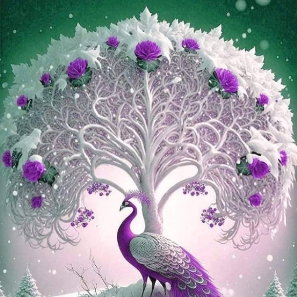 Meet your Posher, Nabam - Picture 1 of 1